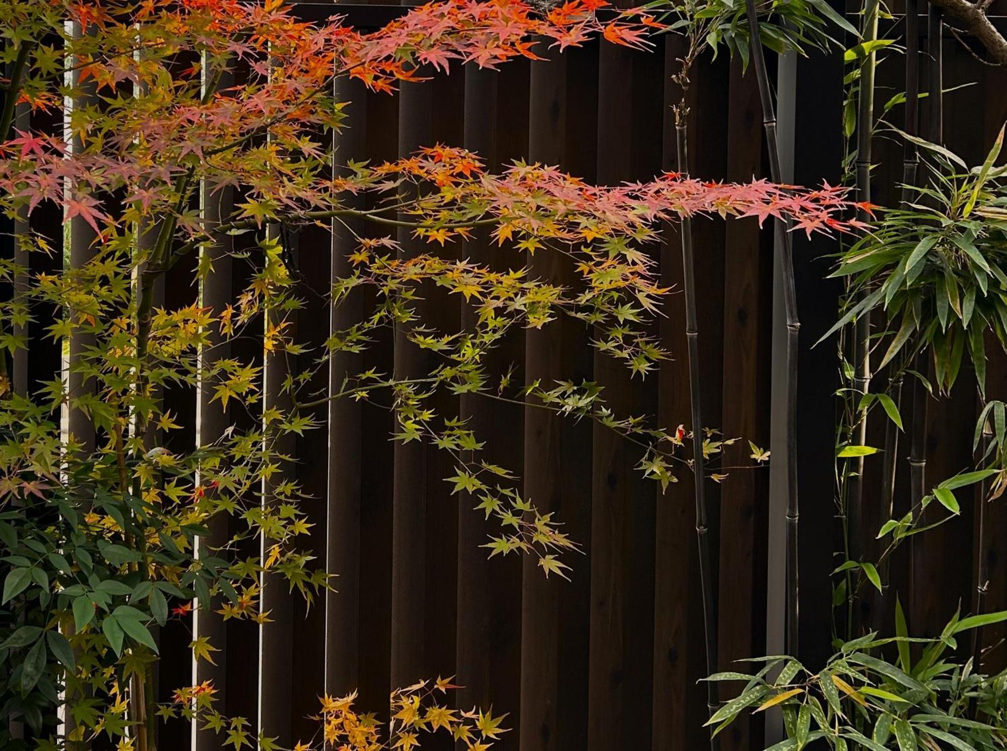 Guest House Oumi Kyoto Luaran gambar